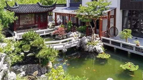 北京小院翻新｜不超2万！手把手教你低成本造出江南诗意