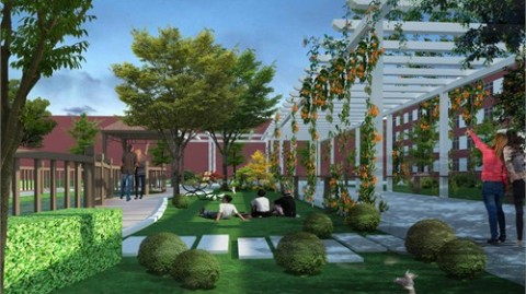 30年教龄校长含泪分享小学景观设计方案，5个让校园充满“泥土气”的设计处方