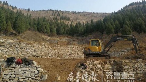 山体绿化别再花冤枉钱了！23组数据搞定生态稳定与长效复绿